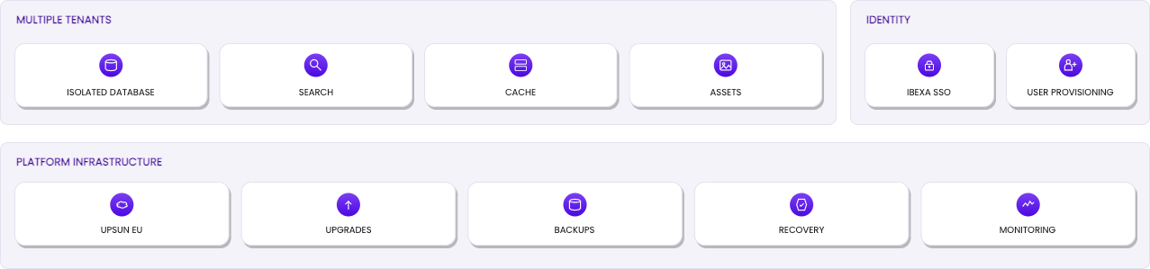 Cohesivo SaaS framework Cohesivo SaaS framework